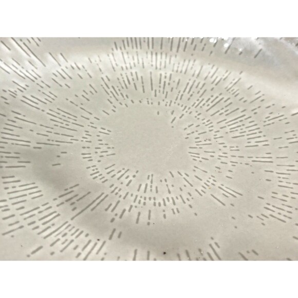 Schönwald Germany 620 Porcelain Plate Set of 4 Radial Pattern Gray Frost Shiro - Picture 5 of 16